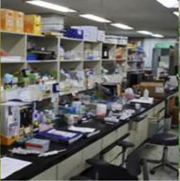 특수 배양 배지